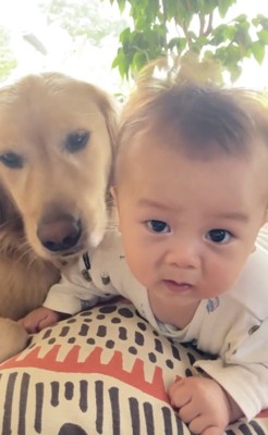 並んでくつろぐ犬と赤ちゃん