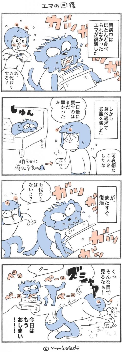 犬と暮らせば【第542話】