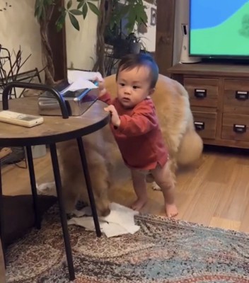 ティッシュで遊ぶ赤ちゃんと犬