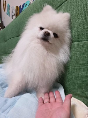 塩対応