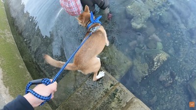 初めて海の中へ…