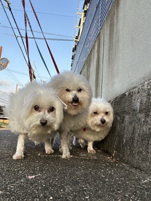 仲良し家族