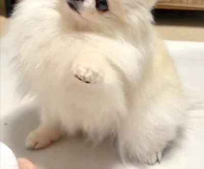 姪っ子