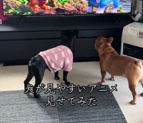 一緒にテレビを観ることも