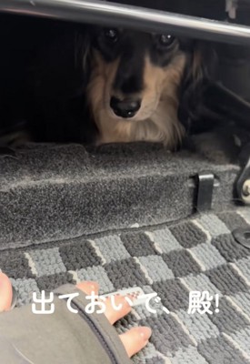 「やだ」