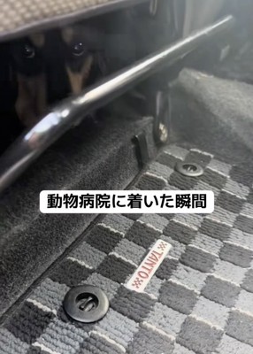 病院嫌いのお殿くん