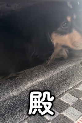 「何も聞こえません」