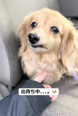 「まだ出てこないの？」