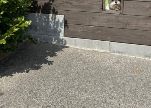 水やり
