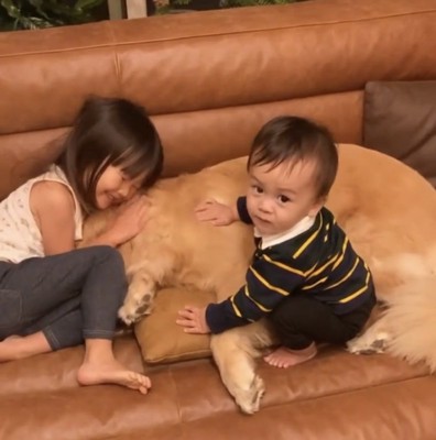 ソファでくつろぐ犬と子どもたち