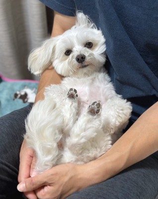 普段