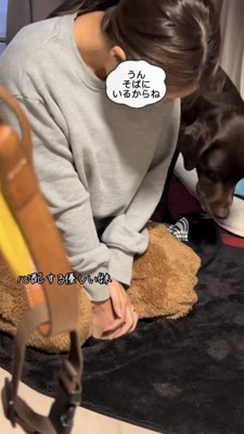 女性の側に行くラブラドール
