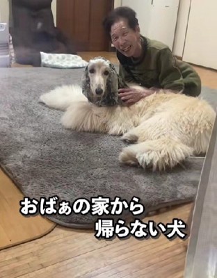 大のおばあちゃんっ子♡