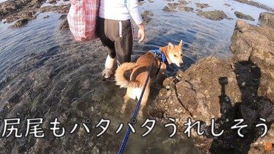 楽しいみたいです♪