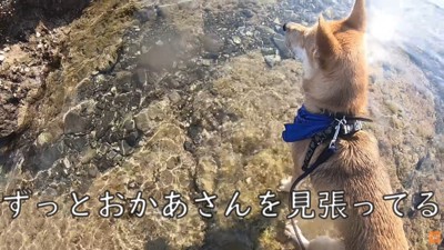 心配そう…!