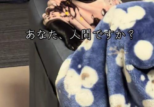 テンちゃんがソファでのんびり