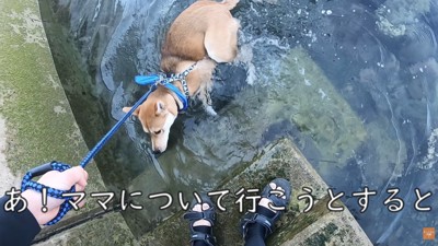 一瞬びっくり!