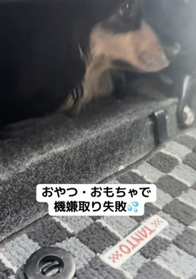 プイッ！！