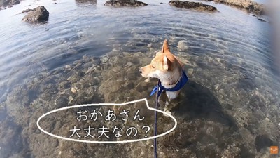 とにかくお母さんが気になる!