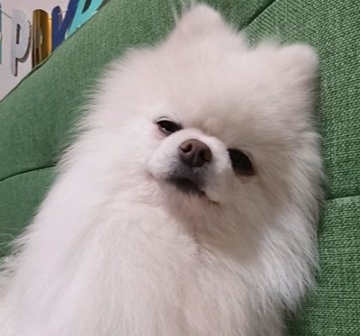 おて