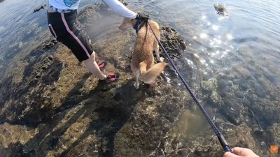「大丈夫?気を付けてね」