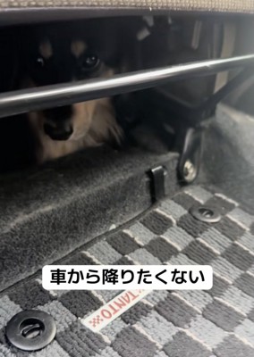 強い意志を感じます