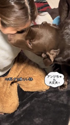 女性を鼻でつつくラブラドール