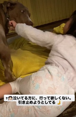 姉妹の間に割って入ると…