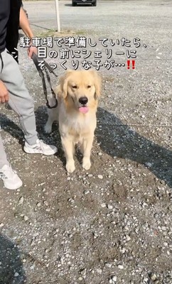 そっくりな子を発見