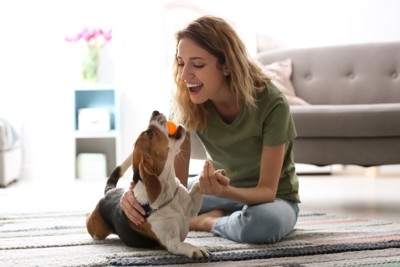 女性と犬