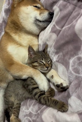 仲良しで可愛い♡
