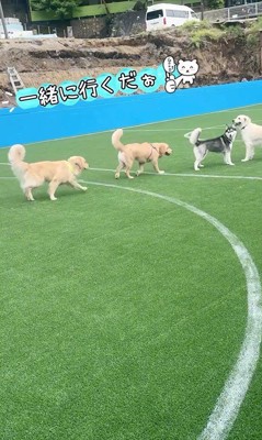 お兄ちゃんらしい行動に感動
