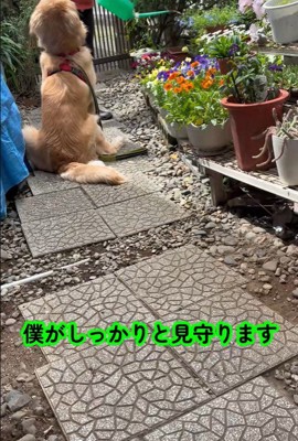 水やりを見守っていたかと思うと…