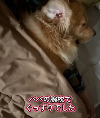 夜は疲れてぐっすり♪