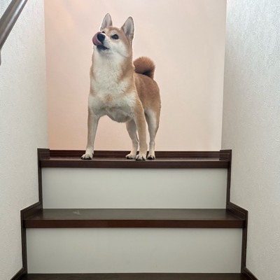ペロッ