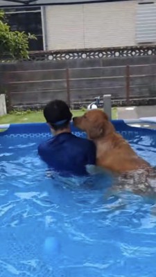 飼い主さんの顔を嗅ぐ犬