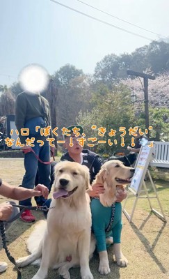 仲良く並んでお座り