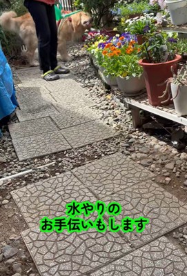 お花の代わりに水分補給♪