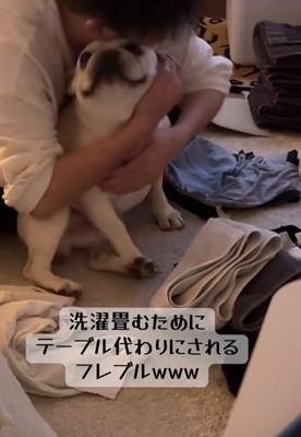 小型犬を抱きしめる飼い主