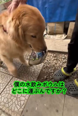 「どこに運べばいいですか？」