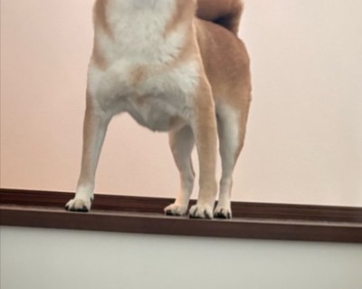 階段