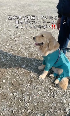 オフ会にきたら…