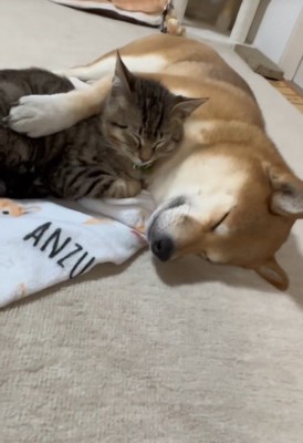 2匹とも幸せそう♡