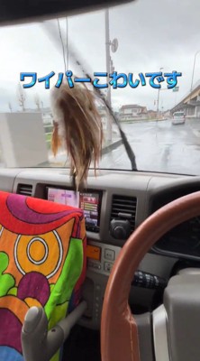 音を立てて動く車のワイパー