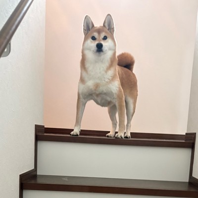 神々しい