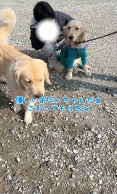 ご家族に撫でてもらってご満悦