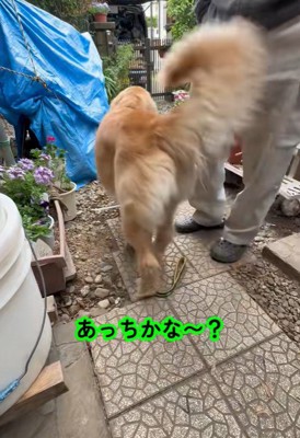 一生懸命な姿が愛おしい♡