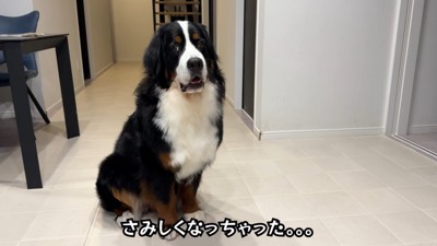 寂しそうなお顔！