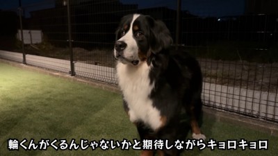 お庭に出たら、お友達を思い出して…