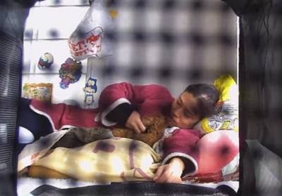 飼い主の腕枕で眠る犬